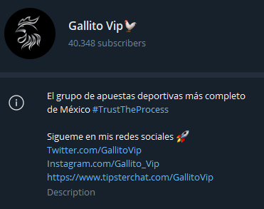 Gallito VIP Mejores tipster Mexico