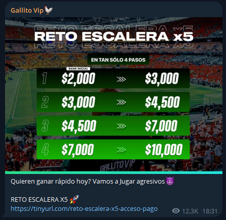 Gallito VIP Mejores tipster Mexico