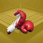 Mejores Tipster Boxeo - Pronosticadores Deportivos