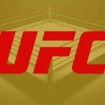 Mejores Tipster UFC - Pronosticadores Deportivos