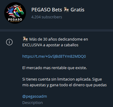 Pegaso Bets observado en distintos escenarios 8 imagen - Pronosticadores Deportivos